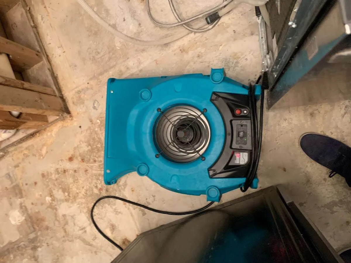 Air mover drying equipment for Mold Remediation & Removal in Homestead Meadows South